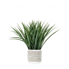 Gallery Direct Grass in Wavy Pot Medium Gallery Direct Grass in Wavy Pot Medium