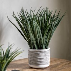 Gallery Direct Grass in Wavy Pot Large Gallery Direct Grass in Wavy Pot Large