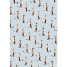 Glick Meerkats Gift Wrap