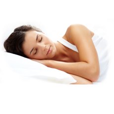 Neuhaus Side Sleeper Pillow