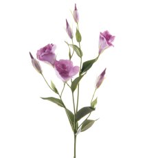 Floralsilk Lavender Lisianthus
