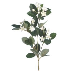 Floralsilk White Stephanotis