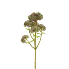 Floralsilk Angelica