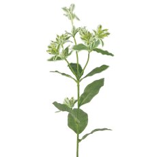 Floralsilk Euphorbia Spray Floralsilk Euphorbia Spray
