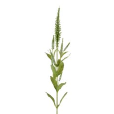 Floralsilk Cream Veronica Spray Floralsilk Cream Veronica Spray