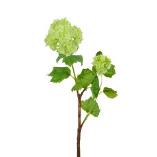 Floralsilk Green Viburnum Spray