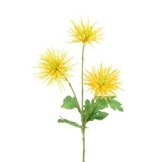 Floralsilk Yellow Spider Mum