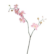 Floralsilk Mini Pink Phalaenopsis