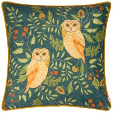 Evans Lichfield Hawthorn Owls Cushion Teal