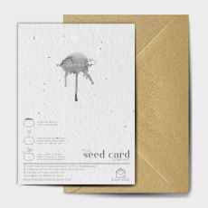 The Seed Card Company Big Bang Theory Birthday Card