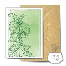 The Seed Card Company Basilika Greetings Card The Seed Card Company Basilika Greetings Card