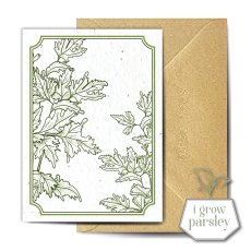 The Seed Card Company Perejil Greetings Card