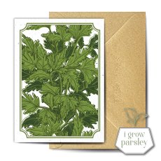 The Seed Card Company Petraol Greetings Card The Seed Card Company Petraol Greetings Card