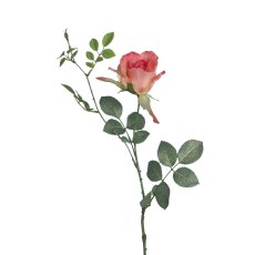 Floralsilk Melon Alice Rose Floralsilk Melon Alice Rose