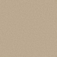 Pembroke Carpet in Savannah Pembroke Carpet in Savannah