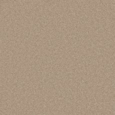 Pembroke Carpet in Toasted Almond Pembroke Carpet in Toasted Almond