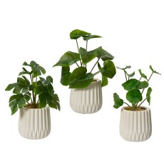 Kaemingk Lotus Leaf Plant in a Pot
