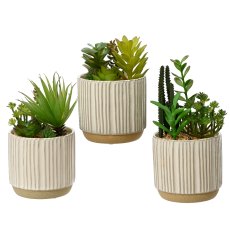 Kaemingk Succulent in Textured Pot