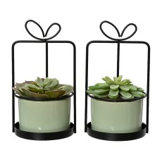 Kaemingk Succulent in a Wire Pot Kaemingk Succulent in a Wire Pot