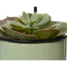 Kaemingk Succulent in a Wire Pot