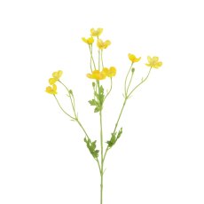 Floralsilk Meadow Buttercup Floralsilk Meadow Buttercup