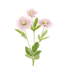 Floralsilk Cream & Pink Hellebore Spray Floralsilk Cream & Pink Hellebore Spray