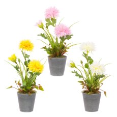 Floralsilk Assorted Potted Chrysanthemum Floralsilk Assorted Potted Chrysanthemum