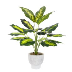 Floralsilk Dieffenbachia in Ceramic Pot Floralsilk Dieffenbachia in Ceramic Pot