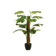 Floralsilk Split Philo Tree with Pot