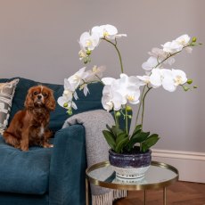 Floralsilk Orchid in Mottled Pot