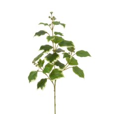 Floralsilk Variegated New French Ivy Spray Floralsilk Variegated New French Ivy Spray