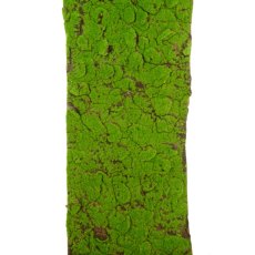 Floralsilk Moss Mat Roll