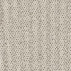 Primo Textures Roll Stock Carpet in Cornish Clay