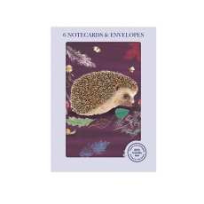 Otter House RSPB Peeping Hedgehog Pack of 6 Mini Notecards Otter House RSPB Peeping Hedgehog Pack of 6 Mini Notecards