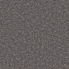 Trentino Elite Carpet in Battleship Grey Trentino Elite Carpet in Battleship Grey