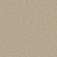 Trentino Elite Carpet in Bay Light Trentino Elite Carpet in Bay Light