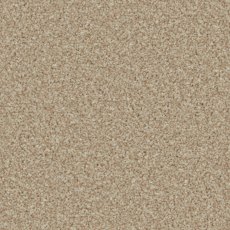 Trentino Elite Carpet in Caracal