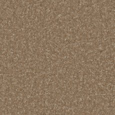 Trentino Elite Carpet in Cedar Trentino Elite Carpet in Cedar