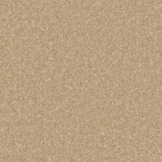 Trentino Elite Carpet in Hayseed