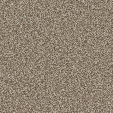 Trentino Elite Carpet in Kernel