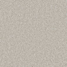 Trentino Elite Carpet in Light Cloud Trentino Elite Carpet in Light Cloud