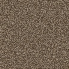 Trentino Elite Carpet in Mocha Trentino Elite Carpet in Mocha