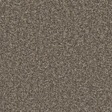 Trentino Elite Carpet in Molasses Trentino Elite Carpet in Molasses