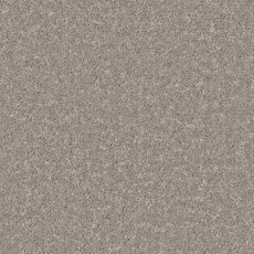 Trentino Elite Carpet in Mushroom Trentino Elite Carpet in Mushroom