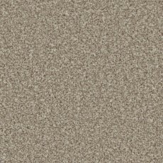 Trentino Elite Carpet in Pale Oak