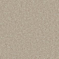 Trentino Elite Carpet in Woodbrook Trentino Elite Carpet in Woodbrook