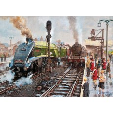 Gibsons Spotters at the Doncaster 1000 Piece Puzzle