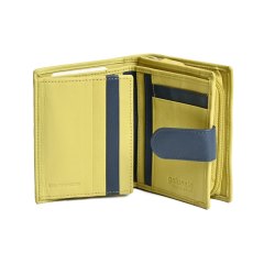Golunski Lime and Navy Wallet