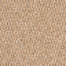 Cosy Weave Carpet in Family Cosy Weave Carpet in Family