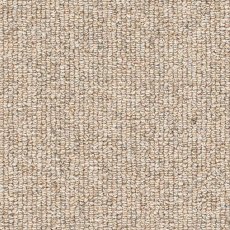 Cosy Loop Carpet in Cushy